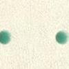 Bianco - dots verde