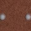 Marrone - dots bianco
