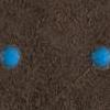 Marrone - dots azzurro