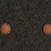 Nero - dots arancione