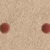 Rosa - dots rosso
