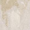 Pumice