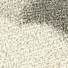 Avorio