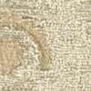 Visone