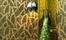 Ambiente