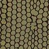 Moss Green