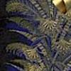 Verdura Peacock