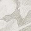 Ficus Snow