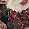 Rosegarden Claret
