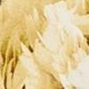 Rosegarden Honey