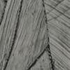 Deep Slate