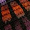 Heliotrope