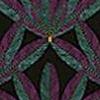 Plume Viridian