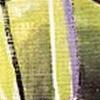 Cerreto Viridis