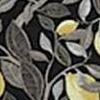 Limone Bronze