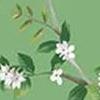 Heron Botanical Emerald Green