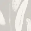 WP20815