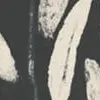 WP20814