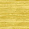 72029