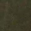 Army