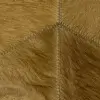Savanna