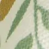 Salvia