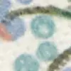 Lichen