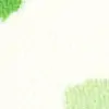 Rainforest