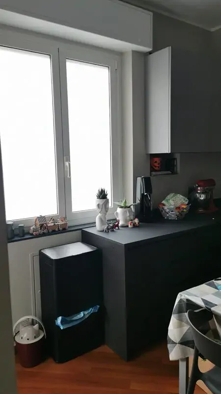 Tessuto adesivo Squid